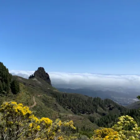 Appart hôtel Rosaura Las Palmas de Gran Canaria